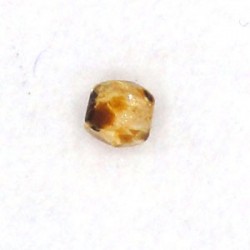 FirePolished 3mm, Turtoise, 40st